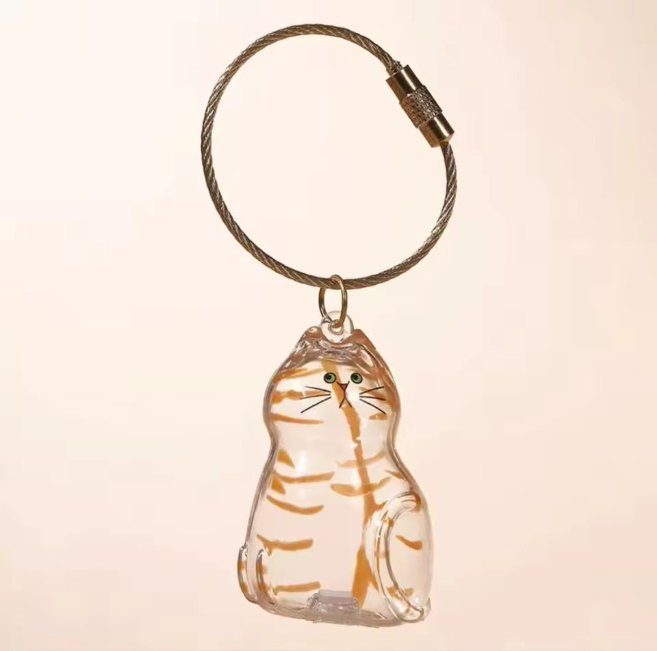 Cat Fur Memory Charm